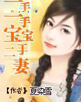 一手宝宝二手妻