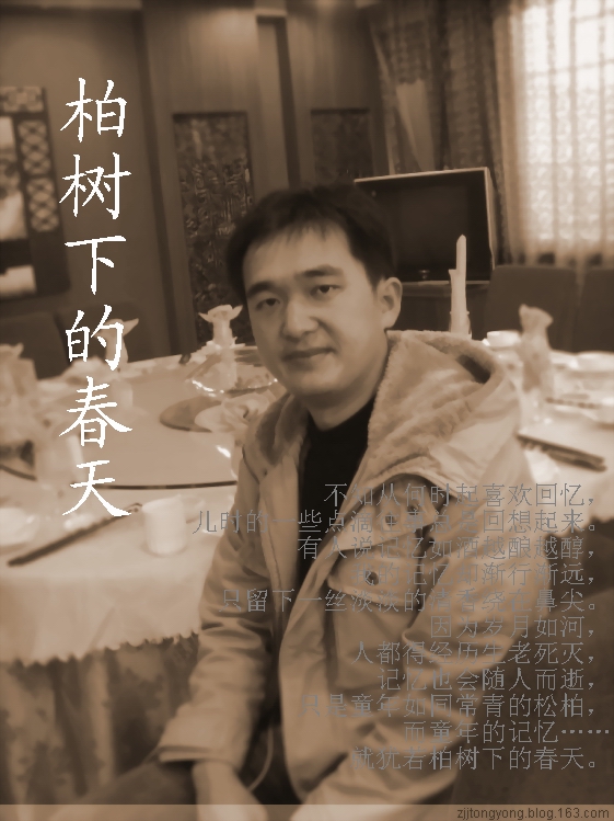 柏树下的春天