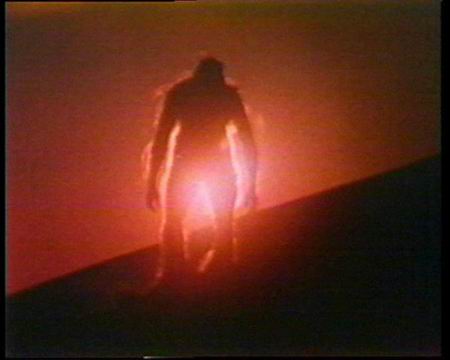 探索神秘的中华先祖