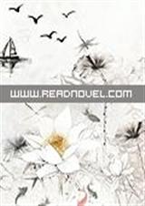 之流:公主小心腹黑殿