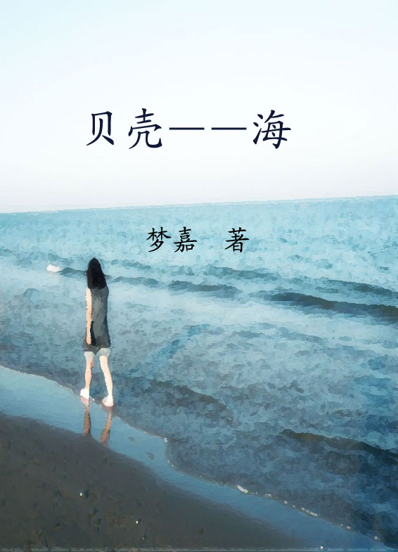 贝壳--海