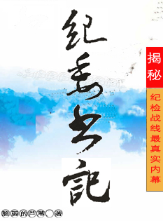 权欲之幕:纪委书记