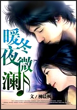 暖冬夜微澜:总裁的神秘情人