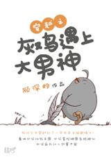 穿越之灰鸡遇上大男神