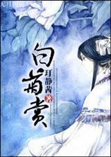 白菊赏