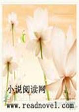梦美易碎