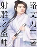 射雕之盗帅