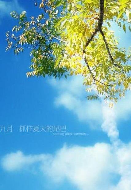 第二个夏天