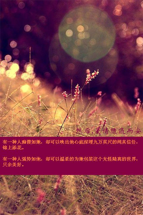 然后,爱情随遇而安