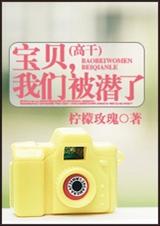 宝贝,我们被潜了(高干)