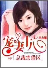 总裁禁猎区:宠妻十八