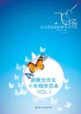 飞扬