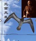 元首无发---蒋介石评传