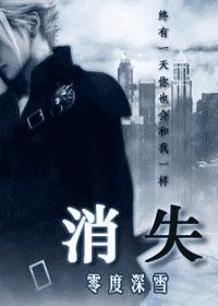 消失(强男强女+悬念+黑帮)