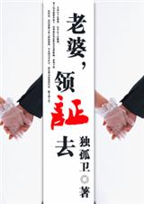 老婆,领证去 完结