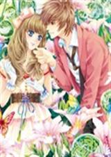 惹上冷酷靓校花