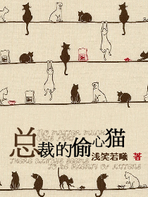 总裁的偷心猫