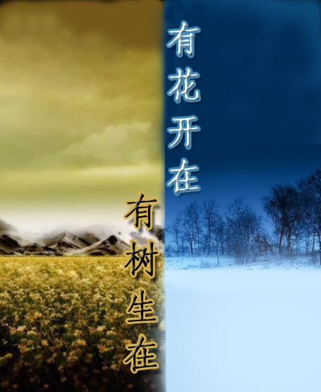 有花开在.有树生在