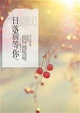 日落前等你