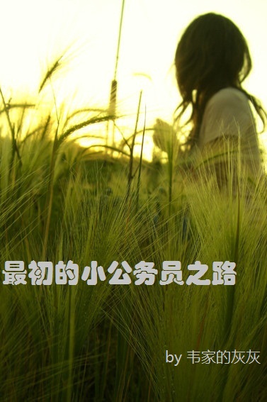 最初的小公务员之路