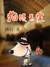狗眼看家