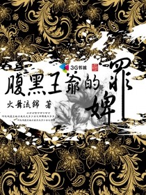 腹黑王爷的罪婢