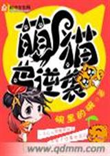 萌猫也逆袭