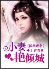 医举成名:小妻艳倾城