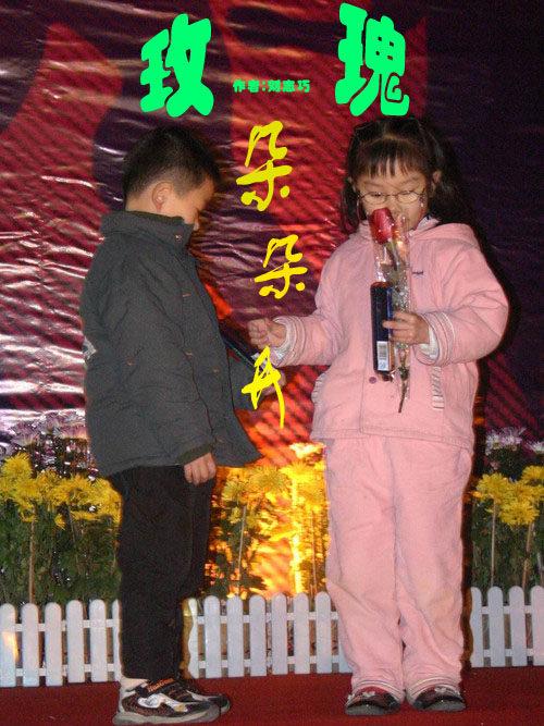 玫瑰朵朵开