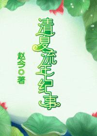 清夏流年纪事 完