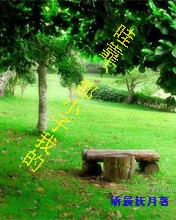 哇靠、那小子我的