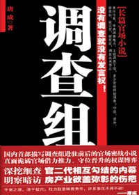 官二代之间的权钱色交易:调查组(全本)