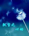 飘雪三部曲
