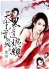 天才宝贝黑道娘亲 一N