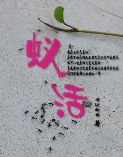 欲望俘虏:蚁活