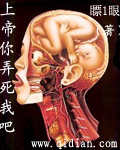 上帝你弄死我吧