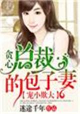 宠小欺大,贪心总裁的包子妻!