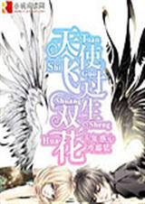 天使飞过双生花