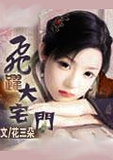 飞跃大宅门