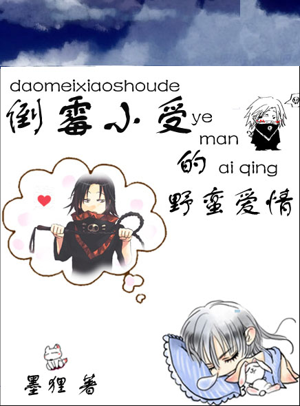 猎人之倒霉小受的野蛮爱情