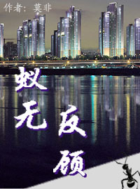 蚁无反顾