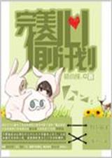 完美偷心计划
