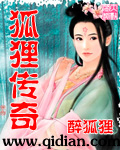 狐狸传奇 完结