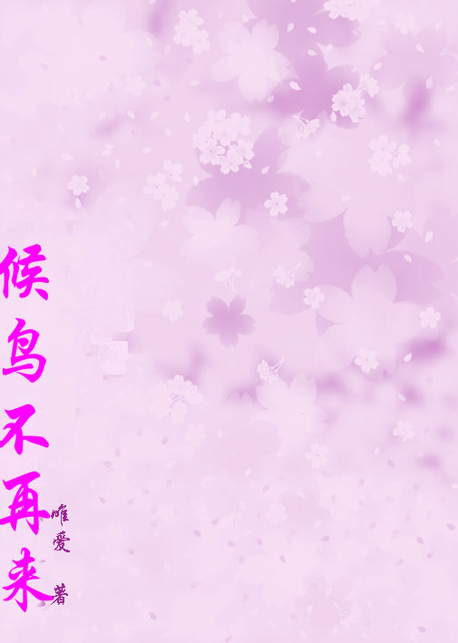 候鸟不再来