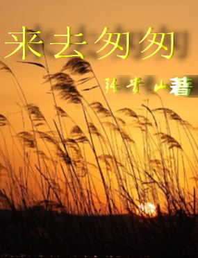 来去匆匆