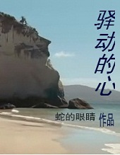 年少不轻狂:驿动的心