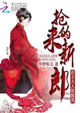 抢来的新郎:庄主大人很腹黑