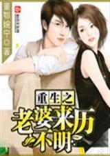 重生之老婆来历不明