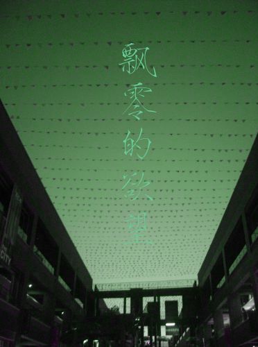 飘零的爱情
