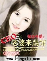 撒旦夺爱:CEO老婆来踢馆